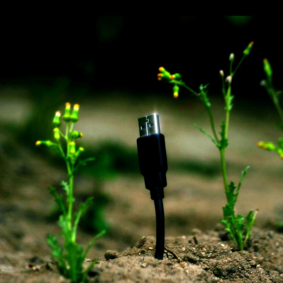 blommor,teknologi,baakgrund